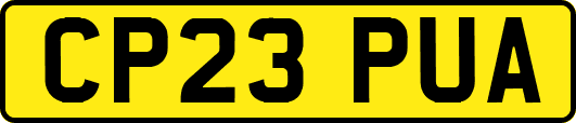 CP23PUA
