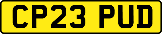 CP23PUD