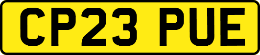 CP23PUE