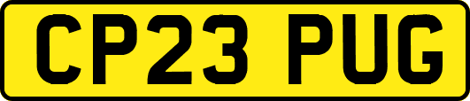 CP23PUG