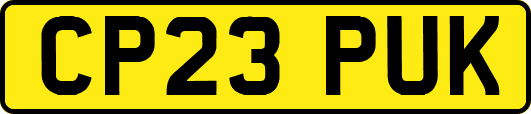 CP23PUK