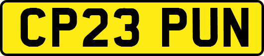 CP23PUN