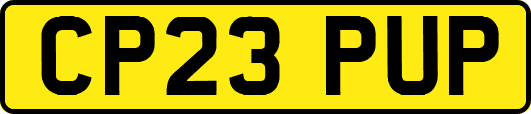 CP23PUP
