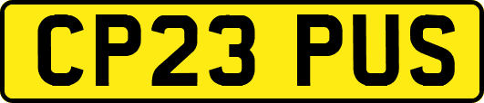 CP23PUS