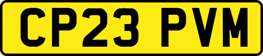 CP23PVM