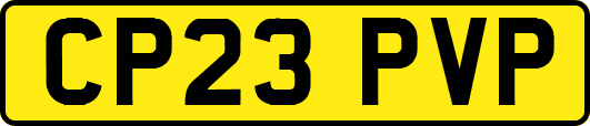 CP23PVP