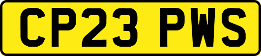 CP23PWS