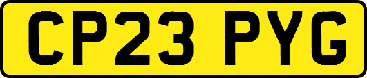 CP23PYG