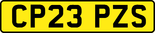 CP23PZS