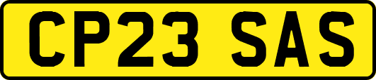 CP23SAS