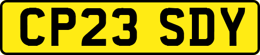 CP23SDY