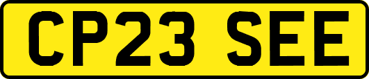 CP23SEE