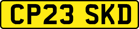 CP23SKD