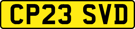 CP23SVD