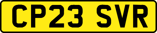 CP23SVR