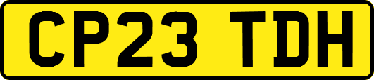 CP23TDH