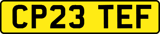 CP23TEF