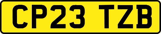 CP23TZB