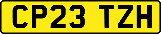 CP23TZH