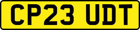 CP23UDT