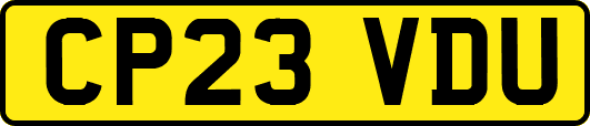 CP23VDU