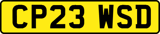 CP23WSD