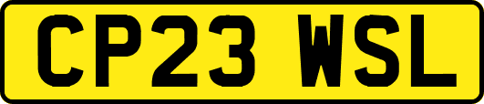 CP23WSL