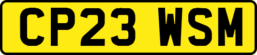 CP23WSM