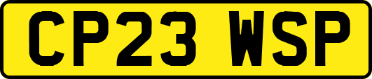 CP23WSP