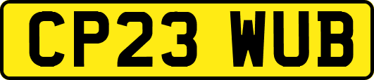CP23WUB
