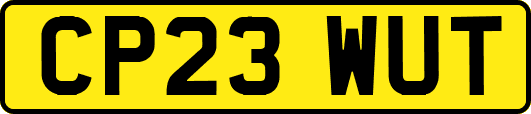 CP23WUT