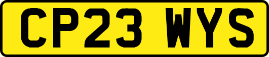 CP23WYS