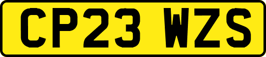 CP23WZS