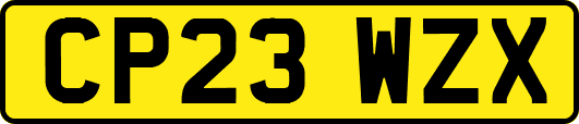 CP23WZX