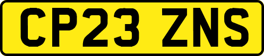 CP23ZNS