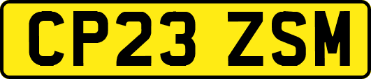 CP23ZSM