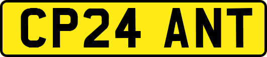 CP24ANT