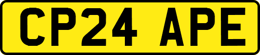 CP24APE
