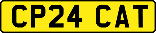 CP24CAT