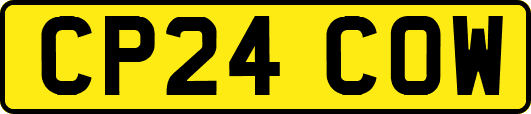 CP24COW