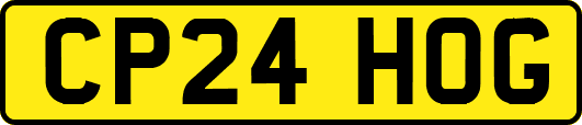 CP24HOG