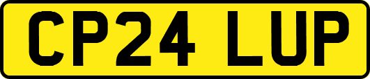 CP24LUP