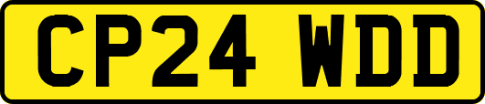 CP24WDD