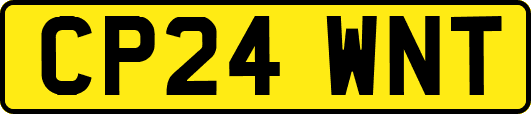 CP24WNT