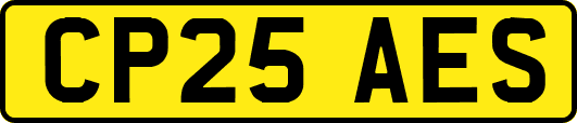 CP25AES