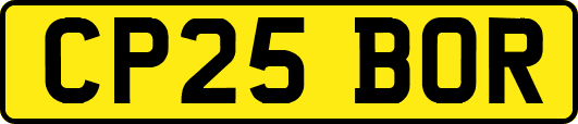 CP25BOR