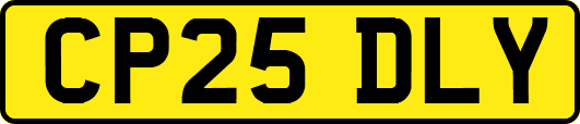 CP25DLY