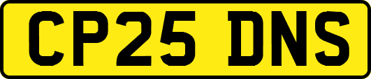 CP25DNS