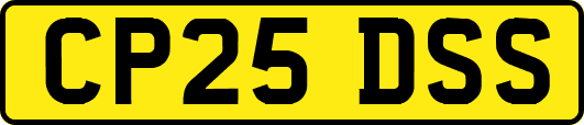 CP25DSS