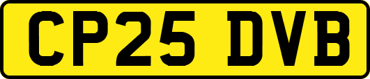 CP25DVB